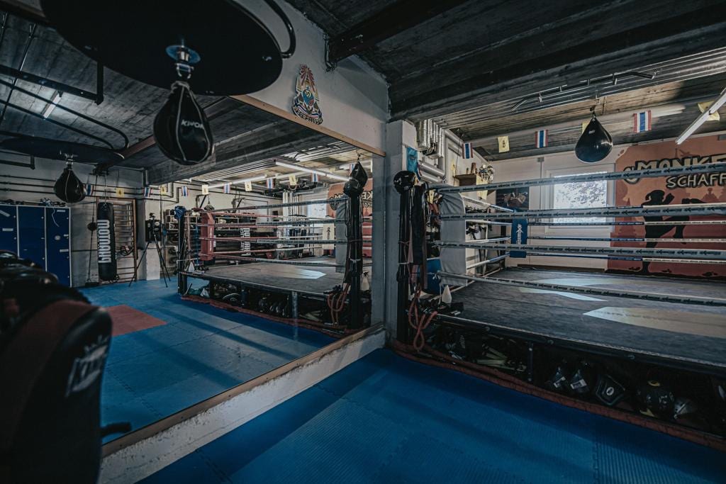 Monkey Gym Atmosphäre