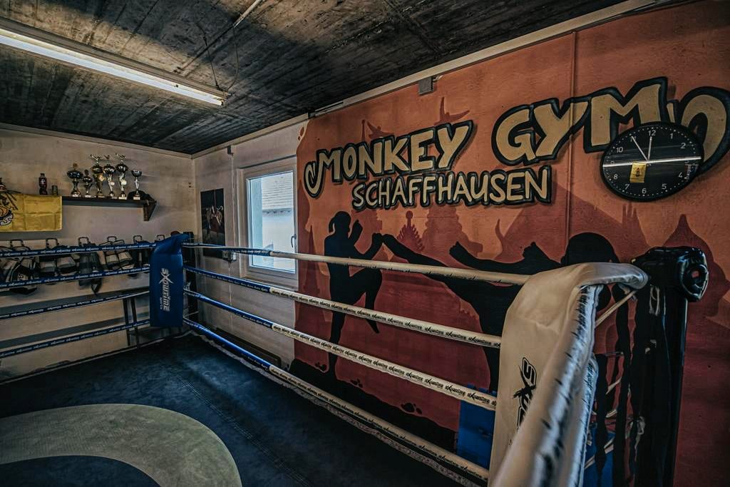 Monkey Gym Trainingsbereich